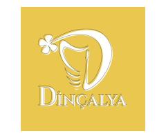 Diş Hekimi Arıyoruz!